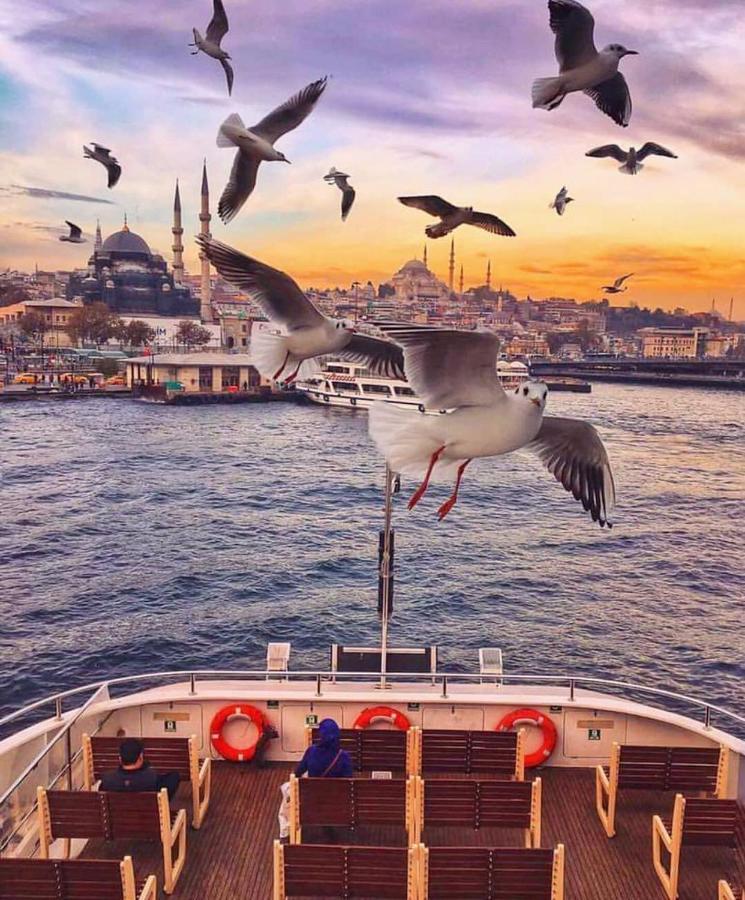 Kadikoy Studio Flat Leilighet Istanbul Eksteriør bilde